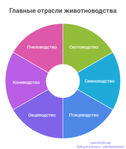 Инфографика: Главные отрасли животноводства Инфографика: Главные отрасли животноводства