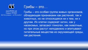 Грибы – это Грибы – это