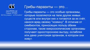 Грибы-паразиты — это Грибы-паразиты — это