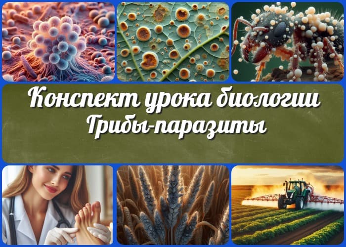 Грибы-паразиты растений, животных и человека - конспект урока биологии