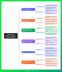 Ментальная карта (интеллект-карта, mind map) Плесневые и дрожжи - конспект урока биологии Ментальная карта (интеллект-карта, mind map) Плесневые и дрожжи - конспект урока биологии