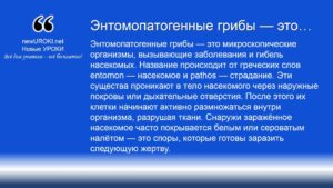 Энтомопатогенные грибы — это Энтомопатогенные грибы — это