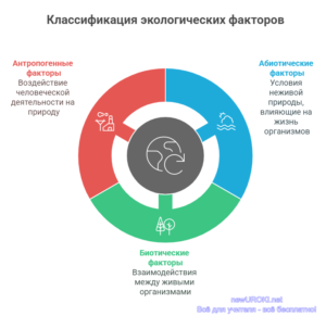 Инфографика: Классификация экологических факторов Инфографика: Классификация экологических факторов