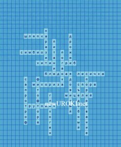 Кроссворд Грибы. Общая характеристика - конспект урока биологии Кроссворд Грибы. Общая характеристика - конспект урока биологии