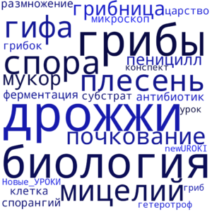 Облако слов Плесневые и дрожжи - конспект урока биологии Облако слов Плесневые и дрожжи - конспект урока биологии