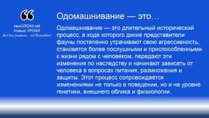 Одомашнивание — это Одомашнивание — это