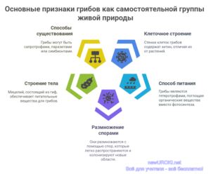 Инфографика: Основные признаки грибов как самостоятельной группы живой природы Инфографика: Основные признаки грибов как самостоятельной группы живой природы
