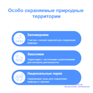 Инфографика: Особо охраняемые природные территории Инфографика: Особо охраняемые природные территории