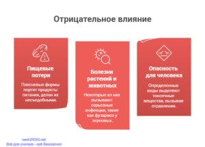 Инфографика: Отрицательное влияние грибов Инфографика: Отрицательное влияние грибов