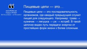 Пищевые цепи — это Пищевые цепи — это