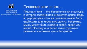 Пищевые сети — это Пищевые сети — это