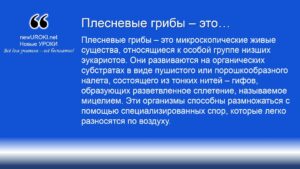 Плесневые грибы – это Плесневые грибы – это