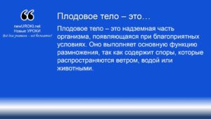 Плодовое тело – это Плодовое тело – это