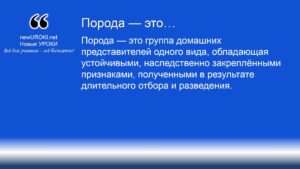 Порода — это Порода — это