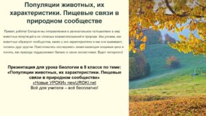 Презентация Популяции животных - конспект урока биологии Презентация Популяции животных - конспект урока биологии