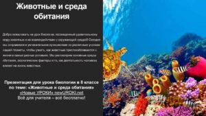Презентация Животные и среда обитания - конспект урока биологии Презентация Животные и среда обитания - конспект урока биологии