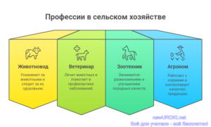 Инфографика: Профессии в сельском хозяйстве Инфографика: Профессии в сельском хозяйстве