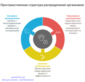 Инфографика: Пространственная структура распределения организмов Инфографика: Пространственная структура распределения организмов