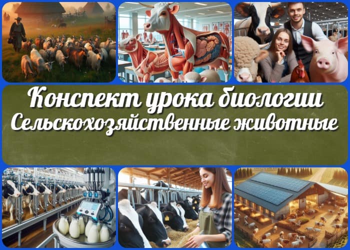 Сельскохозяйственные животные - конспект урока биологии
