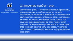 Шляпочные грибы – это Шляпочные грибы – это