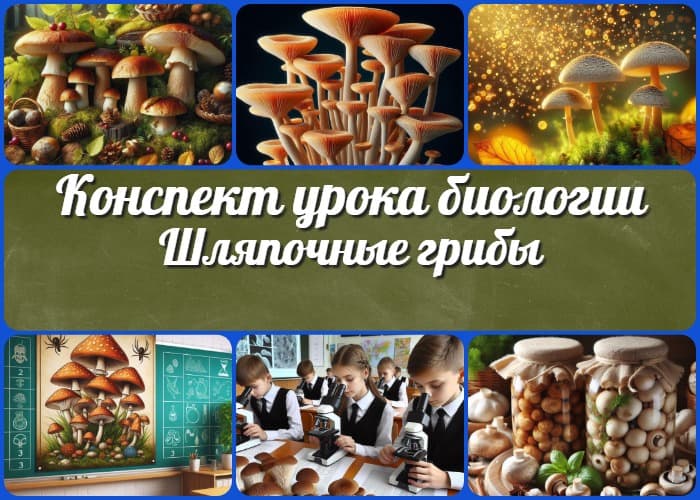 Шляпочные грибы. Практическая работа «Изучение строения плодовых тел шляпочных грибов (или изучение шляпочных грибов на муляжах)» - конспект урока биологии