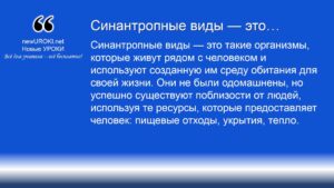 Синантропные виды — это Синантропные виды — это