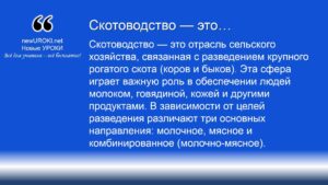 Скотоводство — это Скотоводство — это