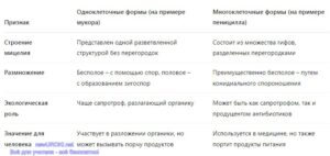 Таблица: Сравнительная характеристика одноклеточных и многоклеточных плесневых грибов Таблица: Сравнительная характеристика одноклеточных и многоклеточных плесневых грибов