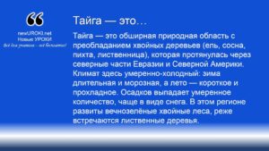 Тайга — это Тайга — это
