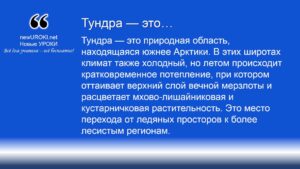 Тундра — это Тундра — это
