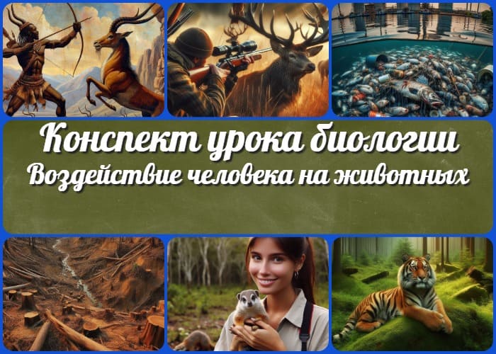 Воздействие человека на животных в природе - конспект урока биологии