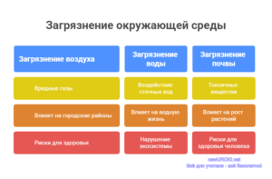 Инфографика: Загрязнение окружающей среды Инфографика: Загрязнение окружающей среды
