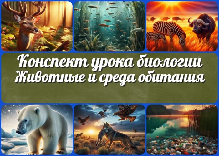 Животные и среда обитания - конспект урока биологии