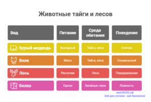 Инфографика: Животные тайги и лесов Инфографика: Животные тайги и лесов