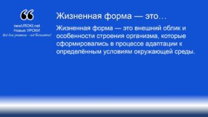 Жизненная форма — это Жизненная форма — это