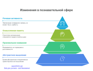 Инфографика: Изменения в познавательной сфере Инфографика: Изменения в познавательной сфере