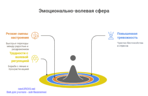 Инфографика: Эмоционально-волевая сфера Инфографика: Эмоционально-волевая сфера