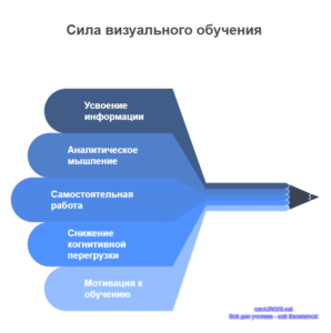 Инфографика: Сила визуального обучения Инфографика: Сила визуального обучения