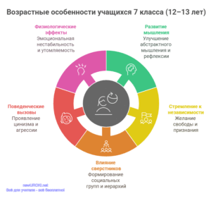 Инфографика: Возрастные особенности учащихся 7 класса Инфографика: Возрастные особенности учащихся 7 класса