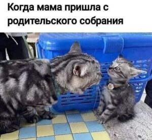 Когда мама пришла с родительского собрания Когда мама пришла с родительского собрания