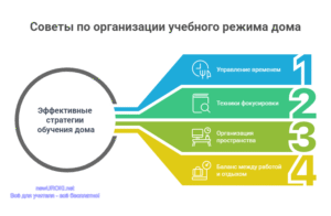 Инфографика: Советы по организации учебного режима дома Инфографика: Советы по организации учебного режима дома